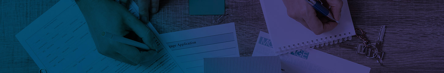 Vidu Package 1